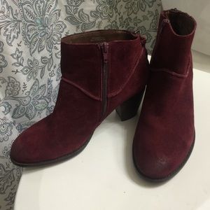 Burgundy Steve Madden Milaan Ankle Booties